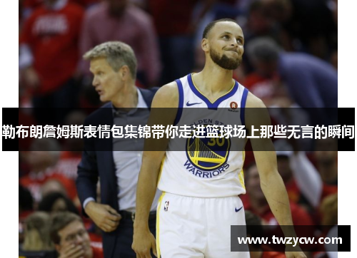 勒布朗詹姆斯表情包集锦带你走进篮球场上那些无言的瞬间