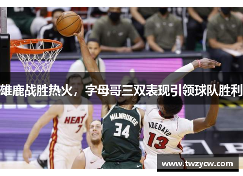 雄鹿战胜热火，字母哥三双表现引领球队胜利